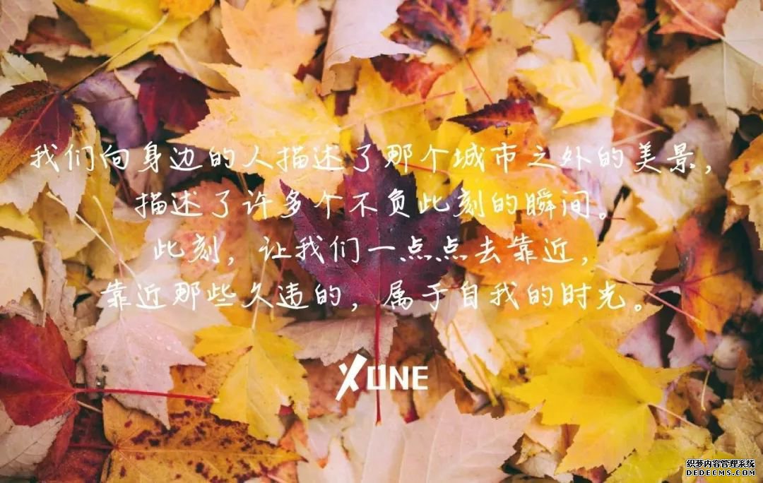 Ž|ѽ壬һСԺȼɽ